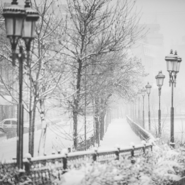 Iarna în București - Primele fotografii 24