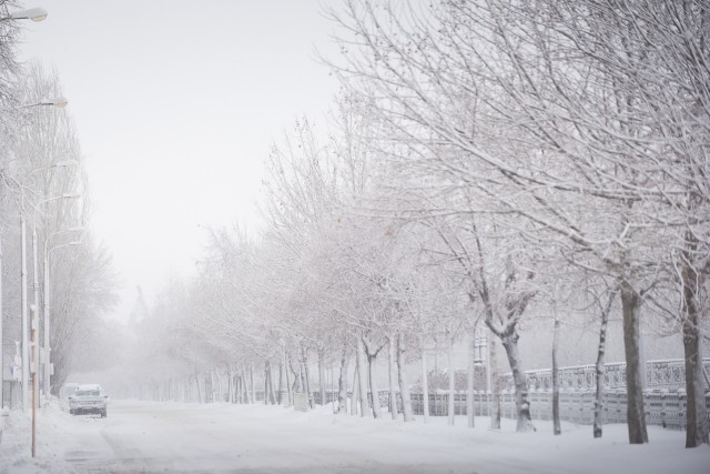 Iarna în București - Primele fotografii 31