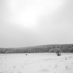 Peisaj de iarnă 1 - Nikon D7000 + 18-55, 1/2000, f/3.5, ISO 100