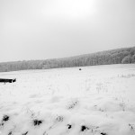 Peisaj de iarnă 2 - Nikon D7000 + 18-55, 1/1600, f/3.5, ISO 100
