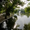 Fotografii din Parcul Cișmigiu