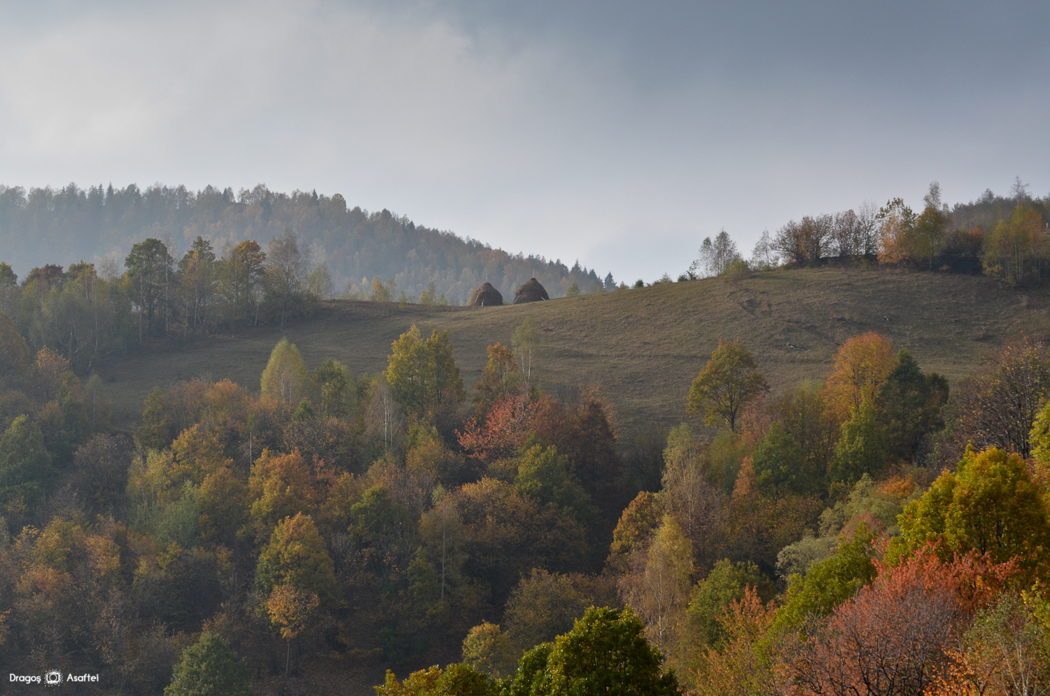 Tabăra de Fotografie pentru Bloggeri - Satul Plopi, Apuseni