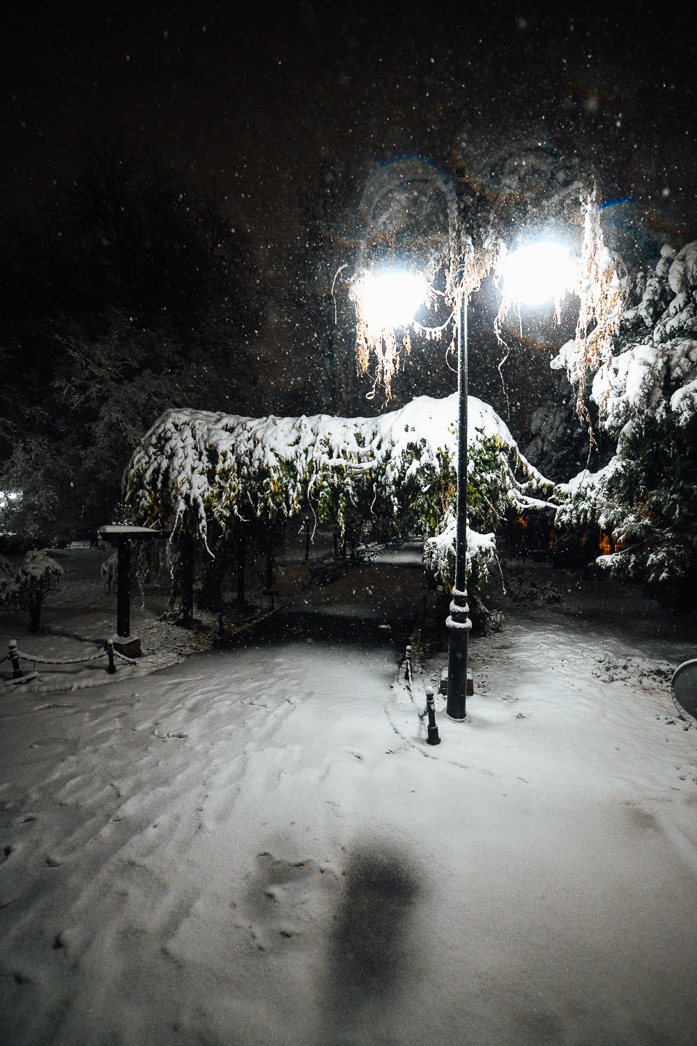 Iarna In București Fotografii Cu Prima Zăpadă Din Această Iarnă