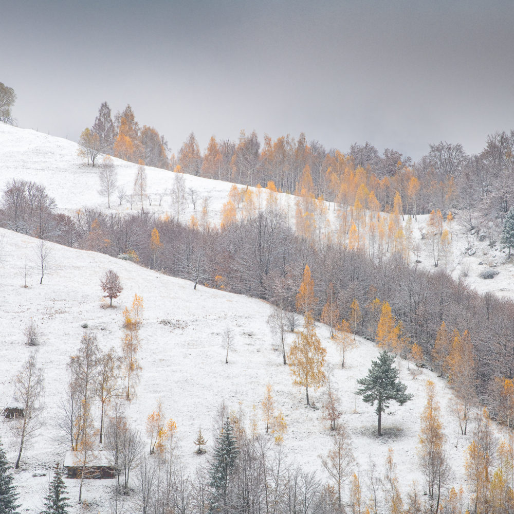 Iarna în satul Peștera